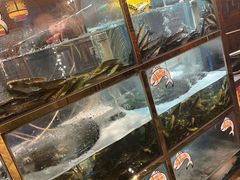 -三道苗苗鱼·美蛙黄辣丁(八里店)