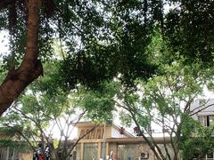 -蚝美人·生蚝海鲜烧烤(茶花园店)