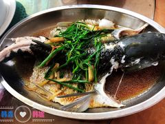 -幽优农庄·森波拉特色本地农家菜