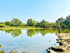 -北海金海湾红树林生态旅游区