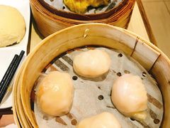 晶莹鲜虾饺-添好运点心专门店(深水埗店)