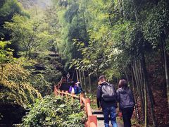 -藏龙百瀑风景区