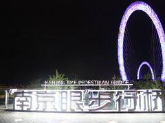 -南京眼步行桥