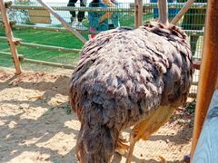 -羊亭河湿地公园