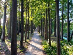 -上海长兴岛郊野公园