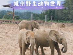 -杭州野生动物世界