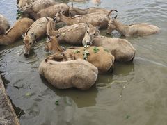 -宁波杭州湾国家湿地公园