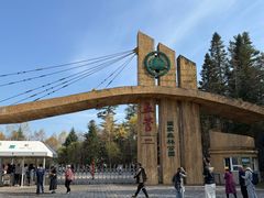 -五营红松林海景区