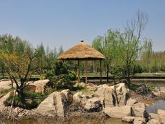 -渡海小渔村.老辈日照菜