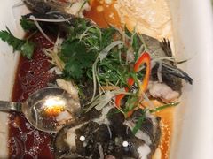 -桃源春晓中餐厅 TaoYuan Restaurant