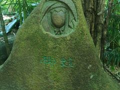-呀诺达热带雨林
