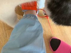 -Husky Go! 哈士奇体验馆·宠物咖啡厅狗咖