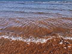 -金梦海湾浴场