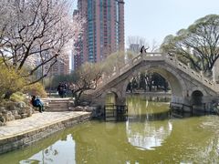 -团结湖公园