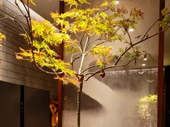 -王府茶楼茶宴·创意菜(朝阳公园店)