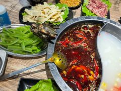 -销魂美蛙鱼头火锅(上海首店)