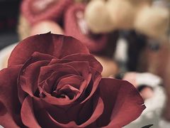 -荣誉国际酒店-云顶旋转餐厅