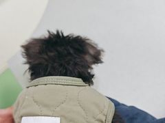 -汪喵宠物医院·骨科心脏影像·犬猫急重症ICU诊疗中心(成华分院)