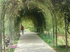 -人民公园(罗湖区)