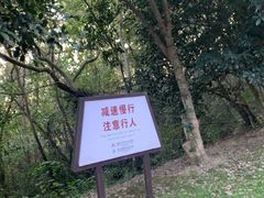 -南京市江宁方山