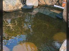 -溧阳天目湖天沐温泉