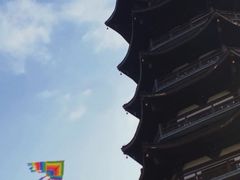 -洋湖国家湿地公园