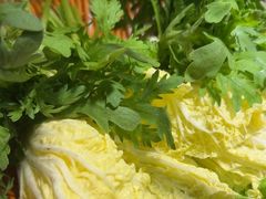 -椰子湾·海南火锅·糟粕醋·椰子鸡(正大广场店)