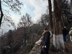 -莫干山风景区