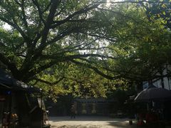 -偏岩古镇