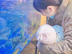 -田螺阿姨自营月嫂·育儿嫂(高新店)