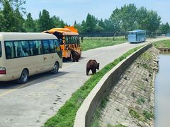 -上海野生动物园