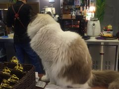 -咖法森林·咖啡  酒吧(天河店)