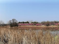 -大蜀山国家森林公园