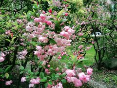 -花草间花行(法华镇路店)