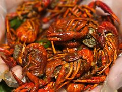 -江味龙虾馆·裸蓝龙虾(南山店)