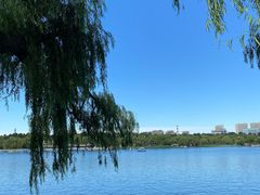 -长春市南湖公园