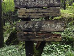-牛背梁国家森林公园