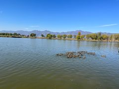 -野鸭湖国家湿地公园
