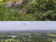 -上海辰山植物园