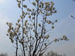 -昆山城市生态森林公园