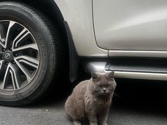 -恩宁刘福记(东华东路店)