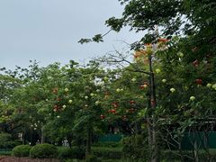 -厦门园林博览苑