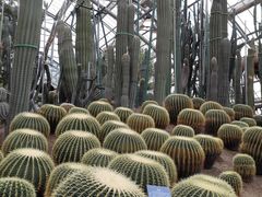 -南山植物园
