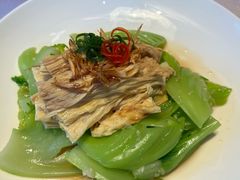 河源腐竹捞起水东芥-大鸽饭(汉溪长隆店)