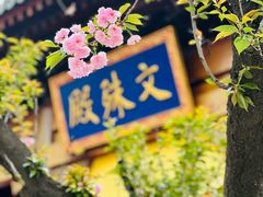 -西安大兴善寺