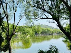 -石家庄市动物园