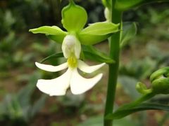 -风云岭森林公园