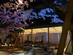 -蓝鲸湾汤泉(包河店)