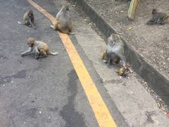 -黔灵山公园-南门售票处