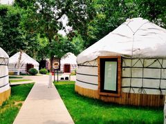 -九十九顶毡房(阜石路店)